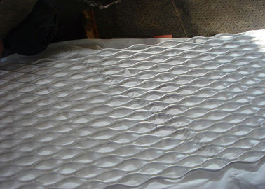 2400x1200MM Grille de passerelle pour les structures de revêtement de sol