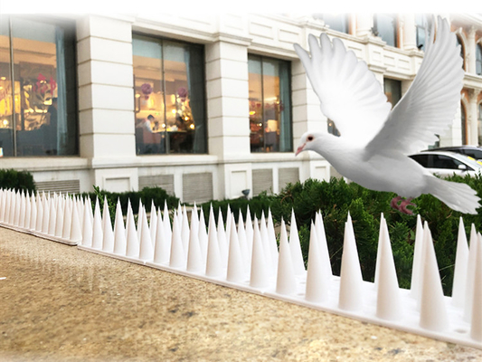 Installation facile des pics anti-oiseaux pour le contrôle des nuisibles en plastique