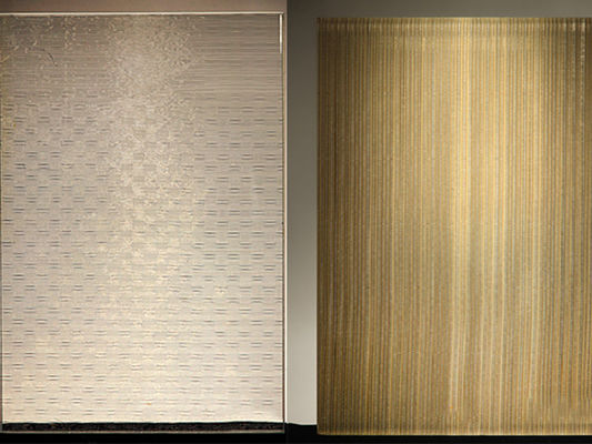 Métal décoratif Mesh Laminated Glass Advanced Buildings de film de PVB