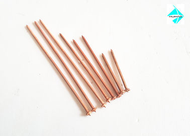160mm L clous plaqués par cuivre de soudage des goujons de décharge de condensateur avec des agrafes en métal