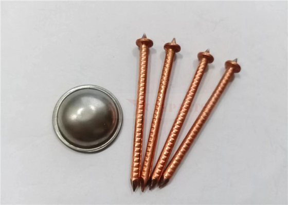 L'isolation en acier à faible teneur en carbone de Cd cloue le diamètre de 3mm avec les rondelles de freinage d'individu